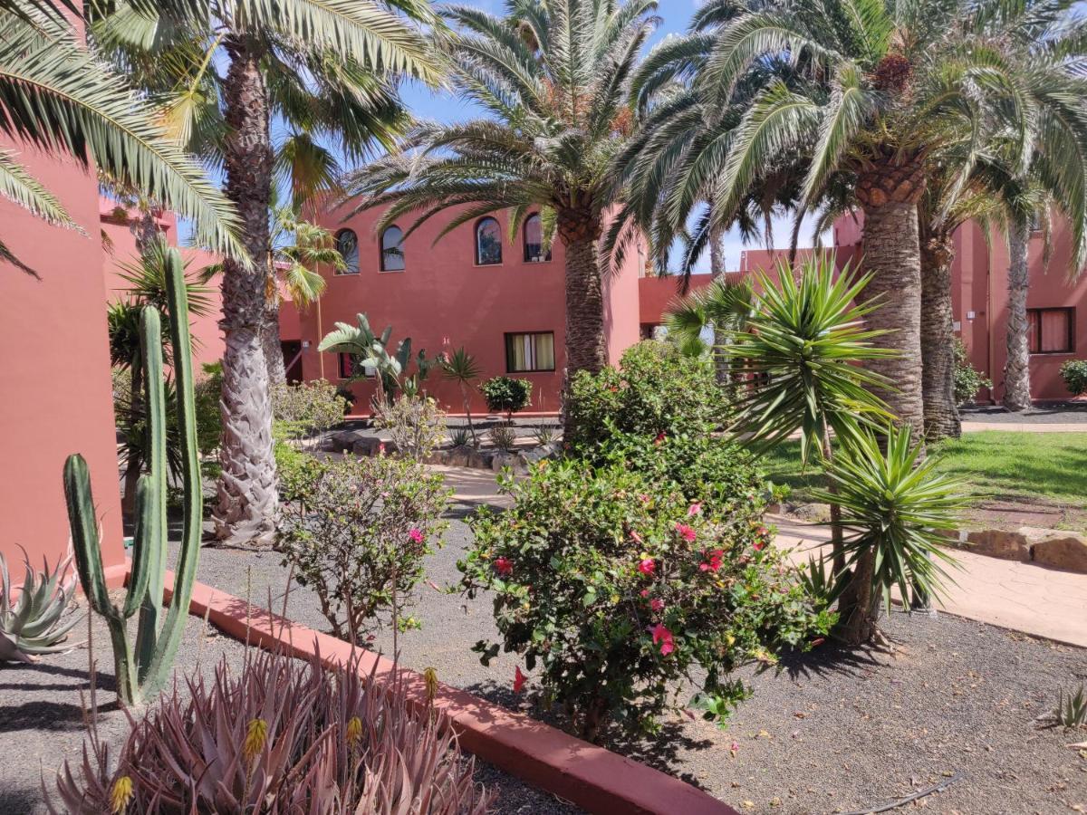 Oasis Tamarindo Poppins Pool E Terrace Appartement Corralejo Buitenkant foto